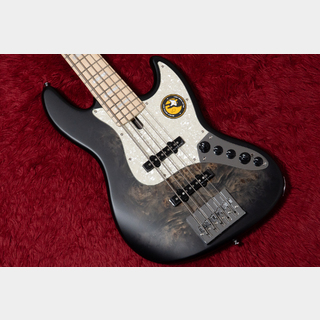 エレクトリック・ベース ＞ JBタイプ、Sire、V7 Ashの検索結果【楽器