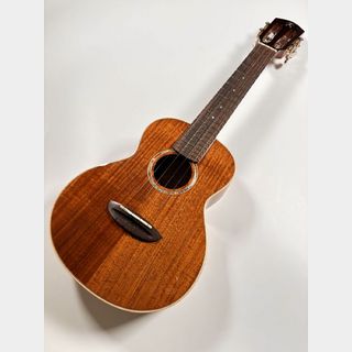 aNueNue aNN-AAA2