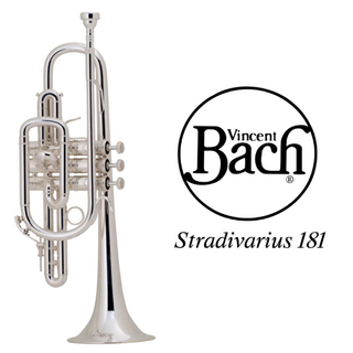 V.Bach  181L SP【新品】【Lボア】【イエローブラスベル】【銀メッキ仕上】【横浜店】【WIND YOKOHAMA】