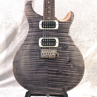 PRS SE Custom 24 seriesの検索結果【楽器検索デジマート】