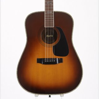 Morris TF-801 Tobacco Sunburst【横浜店】