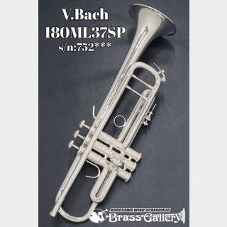 Bach Stradivarius トランペット 180ML37SPの検索結果【楽器検索