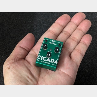 Olinthus CICADA 極小サイズのTS系オーバードライブ!
