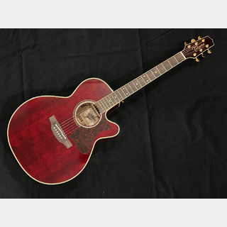 Takamine DMP551C WR with Contact Mic