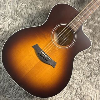 アコースティックギター／エレクトリック・アコースティックギター