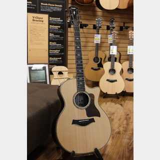 Taylor 814ce J-Spec