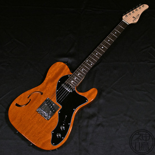 SCHECTER OL-PT-TH ONTL