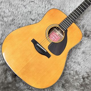 アコースティックギター／エレクトリック・アコースティック