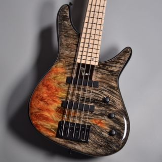 Sugi NB5M Burl Maple Premium Top/Fuji Mahogany Body/Maple Finger Board【現物写真】【4.05kg】