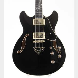 エレクトリックギター ＞ セミアコ、Ibanezの検索結果【楽器検索