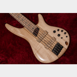 エレキベース アイバニーズ ibanez sdgr srx410 エレキベース アイバニーズ ibanez sdgr srx410