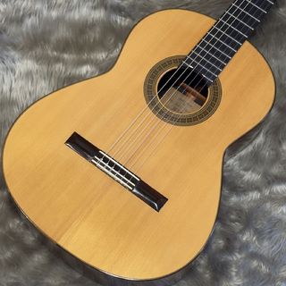 野辺正二の検索結果【楽器検索デジマート】