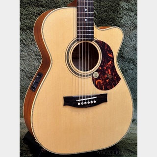 MATON 【MATON Giveaway Campaign】EBG808C Tommy Emmanuel #31161【48回迄金利0%対象】【送料当社負担】