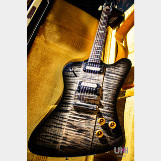 Gibson Custom ShopTak Matsumoto Firebird Trans Black Burst