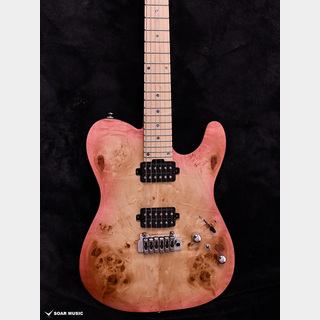 バッカスより、バール・ポプラ・トップと独自のカラーを採用した