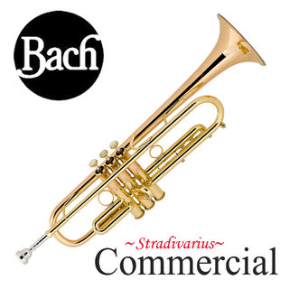 Bach COMMERCIAL バック LT1901B CL コマーシャル ラッカー仕上げ B♭トランペット 【WEBSHOP】