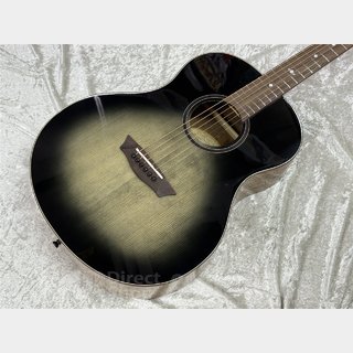 アコースティックギター／エレクトリック・アコースティック