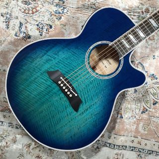 訳ありのため超特価 Takamine TSP178AC SSB