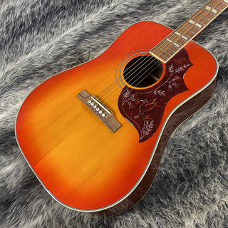 EpiphoneHummingbird Studio Faded Cherry Sunburst