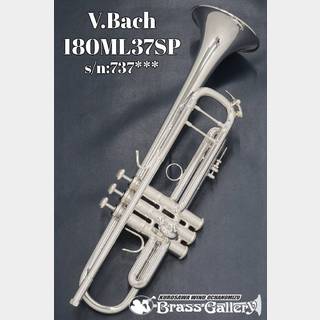 トランペット　Bach 180ML37 stradivarius Bach Stradivarius Trumpet in Bb 18037 | Conn Selmer