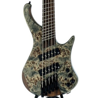 Ibanez Bass Workshop EHB1505MS-BIF [SPOT MODEL] 【特価】