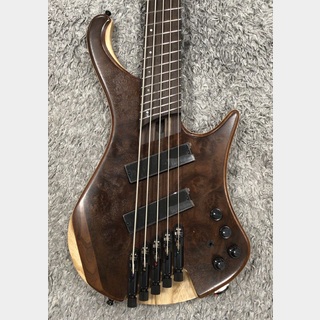 Ibanez EHB1265MS-NML (Natural Mocha Low Gloss) 【SPOTモデル】【ヘッドレス5弦ベース】