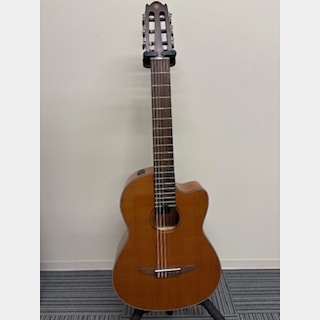 エレガットギターの検索結果【楽器検索デジマート】