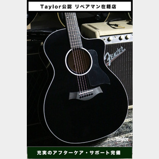 Taylor 214ce-BLK Plus【Taylor公認 リペアマン在籍店】