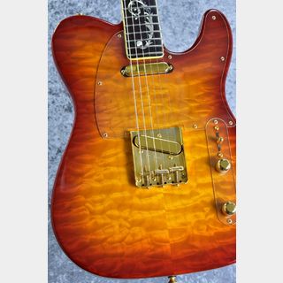 Fender Custom Shop MBS Custom Quilt Telecaster "Tree of Life" by J.W.Black [3.33kg] [マスターピース]