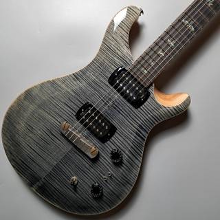 美品 PRS ギター Paul's Guitar SE 純正ケース(未使用)付き 2025年最新】Yahoo!オークション -エレキギター prs se ケースの