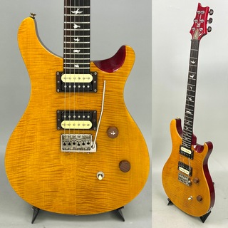 Paul Reed Smith(PRS) SE Custom 24 Flat Top 2011年製