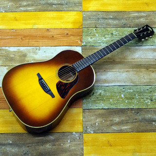 VG VG-03 Mahogany/Brown Sunburst