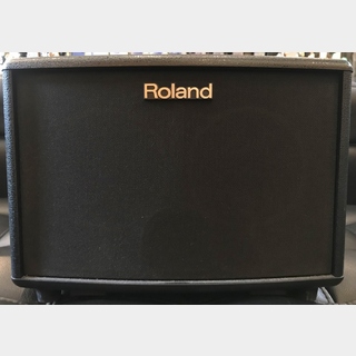 RolandAC-33 Acoustic Chorus