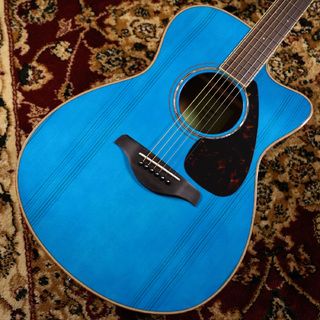 アコースティックギター／エレクトリック・アコースティックギター