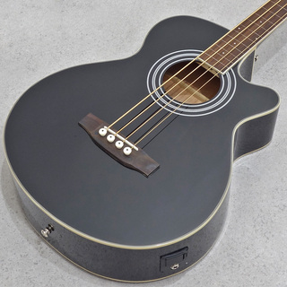 アコースティック・ベース／エレアコ・ベースの検索結果【楽器検索