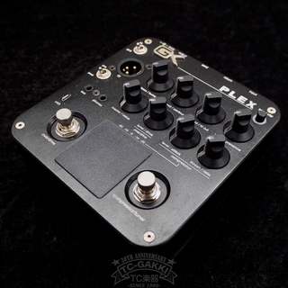 GALLIEN-KRUEGER PLEX