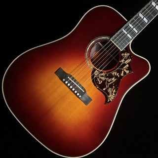 Epiphone、Hummingbird Deluxe ECの検索結果【楽器検索デジマート】