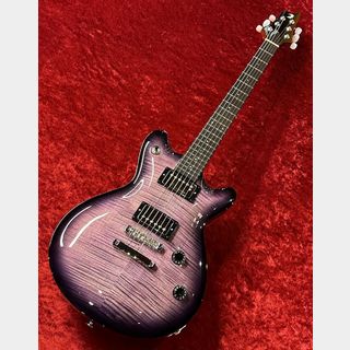 エレクトリックギター、T's Guitarsの検索結果【楽器検索デジマート】