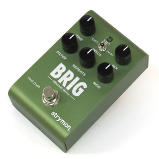 strymon BRIG dBucket delay