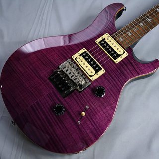 Paul Reed Smith(PRS) SE Custom24 Floyd