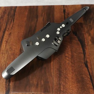 Roland AE-10G / Aerophone 【梅田店】