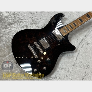 SCHECTER U.S.A Master Works Tempest Custom