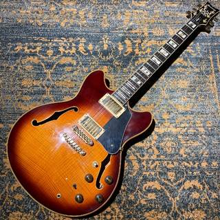 エレクトリックギター ＞ セミアコ、Ibanezの検索結果【楽器検索