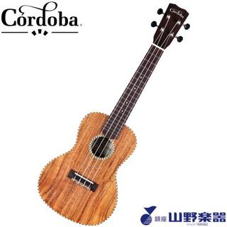 Cordoba コンサートウクレレ 25C / Natural