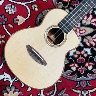 aNueNue aNN-UC100