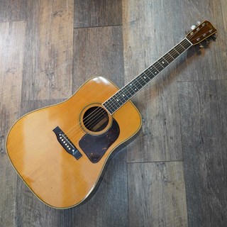 アコースティックギター、BlueBellの検索結果【楽器検索デジマート】