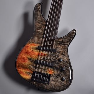 Sugi NB5IR Burl Maple Premium 1P Top/Ash Body/Indian Rosewood Finger Board【現物画像】【4.10kg】