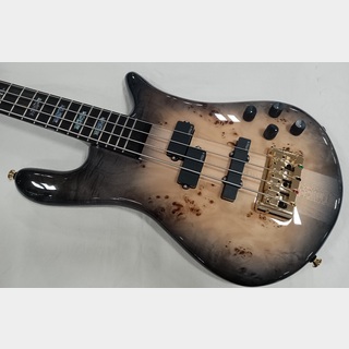 Spector EURO 4 CST BLK