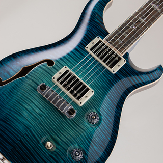 Paul Reed Smith(PRS) Private Stock # 11618 McCarty Semi-hollow Blue Steel Glow "Ziricote FB"