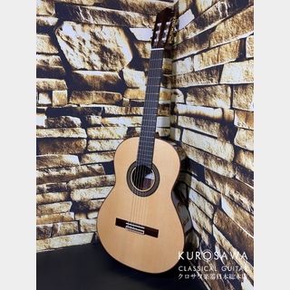 Paco Castilloの検索結果【楽器検索デジマート】